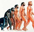 Страх: эволюция и трансформация